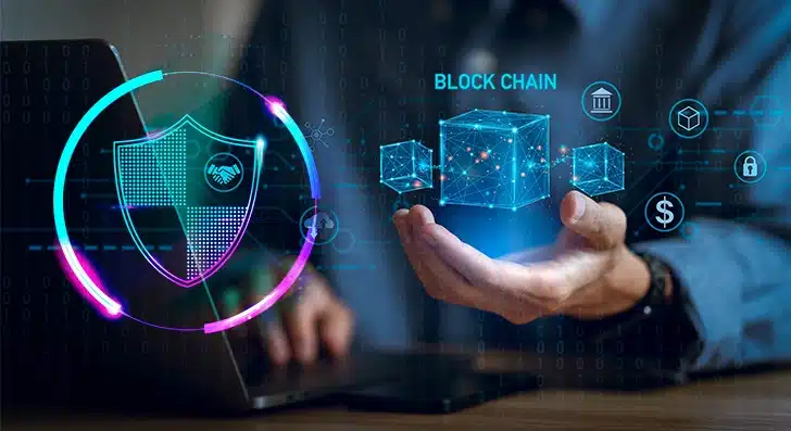 Blockchain Immutability